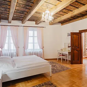 Appartement U Cerneho Medveda- At The Black Bear, Praag